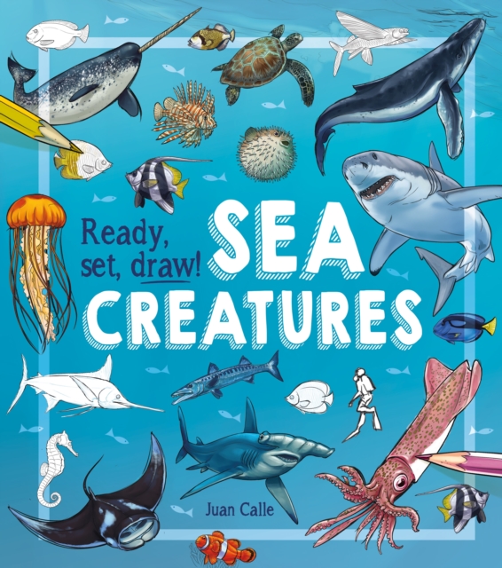 Ready Set Draw Sea Creatures Juan Calle William Potter