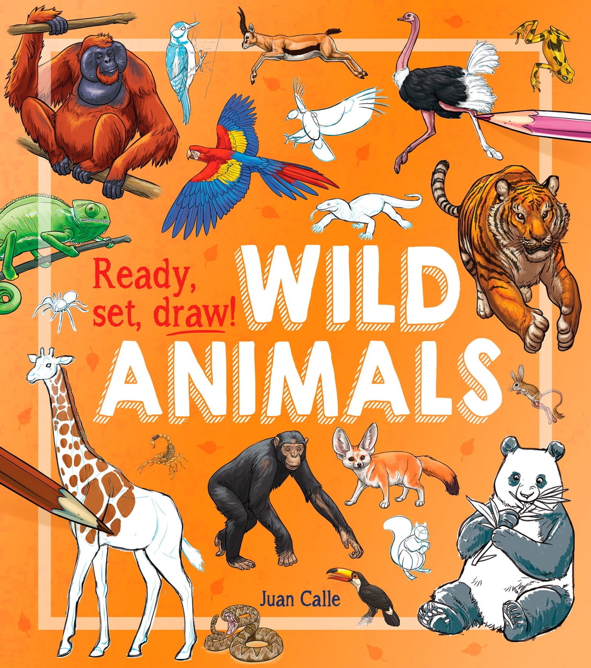 Ready Set Draw Wild Animals Juan Calle