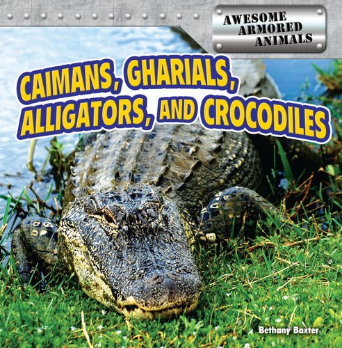 Caimans Gharials Alligators And Crocodiles Bethany Baxter