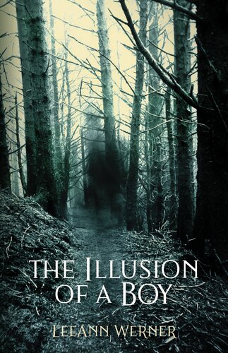 The Illusion Of A Boy Leeann Werner