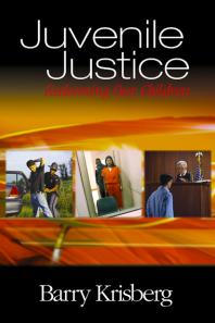 Juvenile Justice Redeeming Our Children 1st Edition Barry A Krisberg