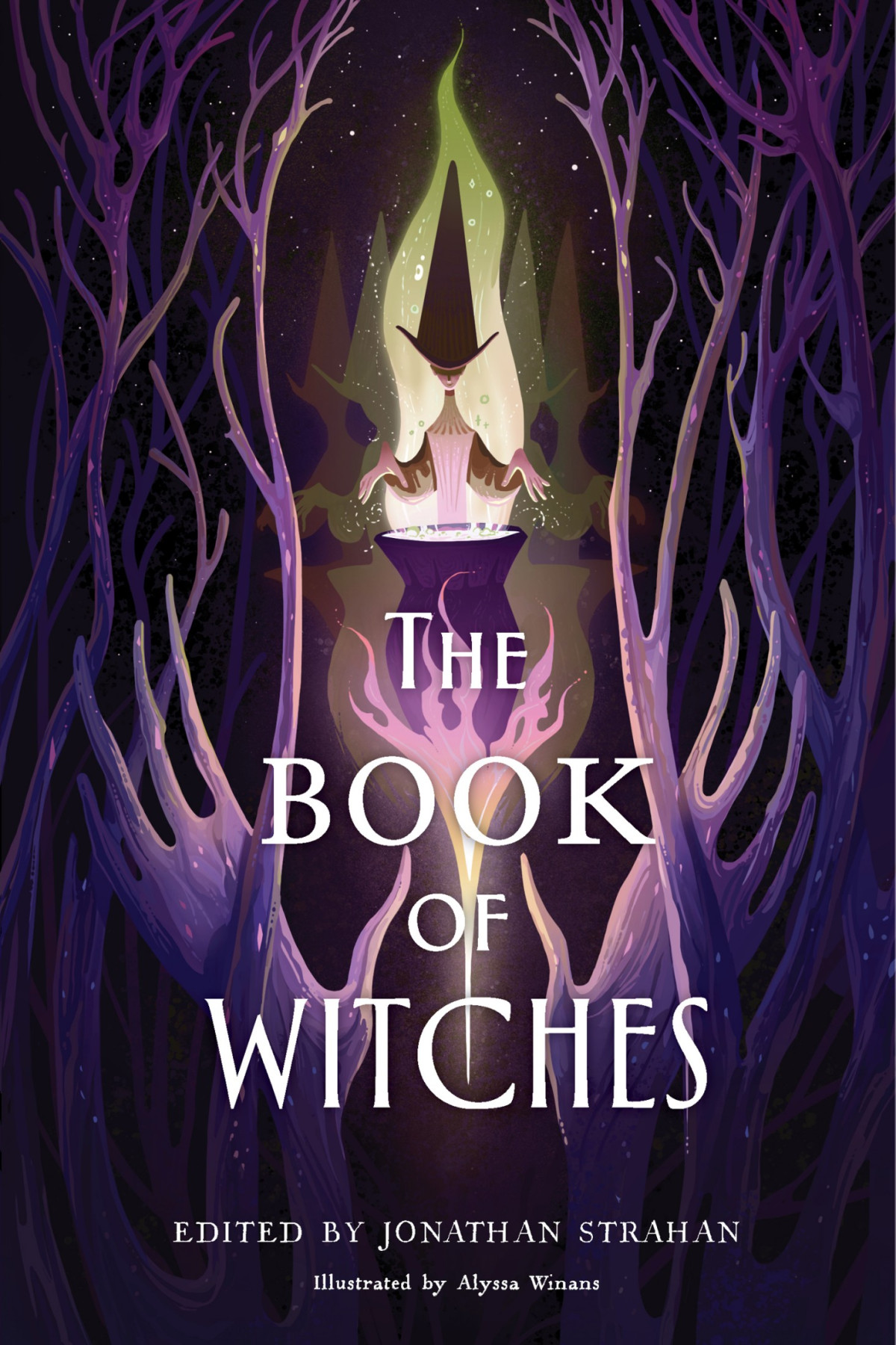 The Book Of Witches Jonathan Strahan