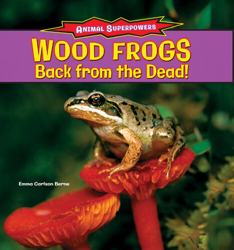Wood Frogs Back From The Dead Emma Carlson Berne