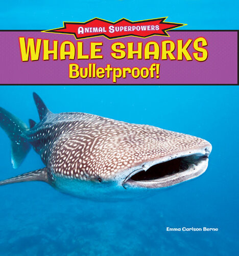 Whale Sharks Bulletproof Emma Carlson Berne