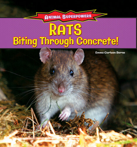 Rats Biting Through Concrete Emma Carlson Berne
