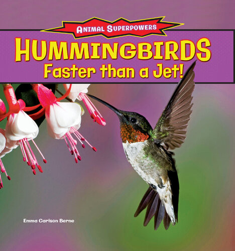 Hummingbirds Faster Than A Jet Emma Carlson Berne