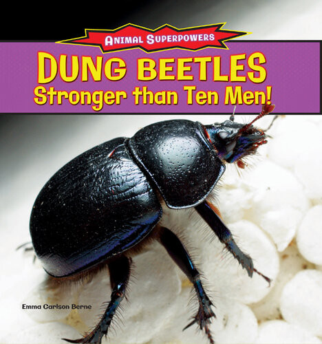 Dung Beetles Stronger Than Ten Men Emma Carlson Berne