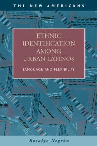 Ethnic Identification Among Urban Latinos 1st Edition Rosalyn Negrn