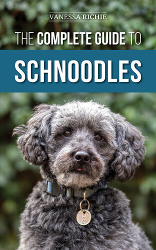 The Complete Guide To Schnoodles Vanessa Richie