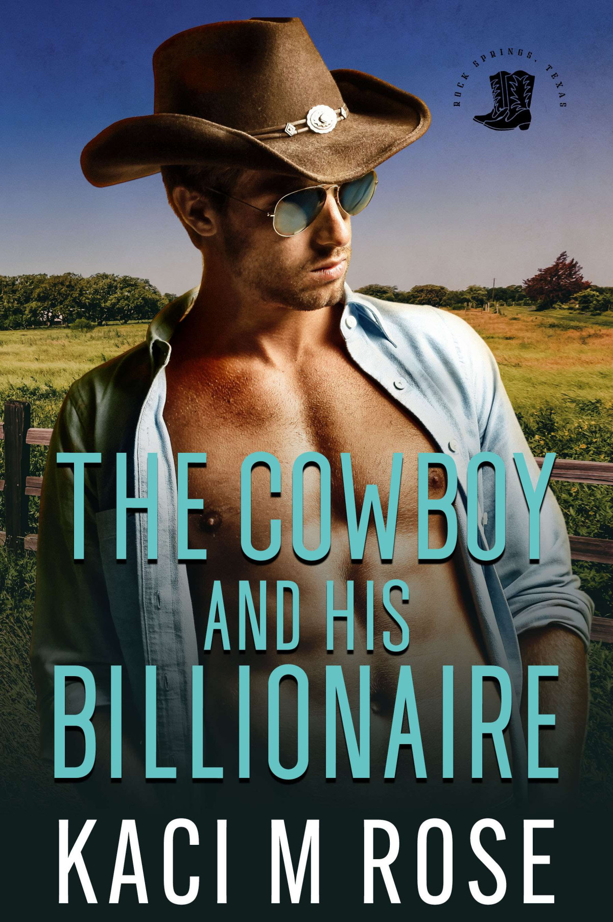 The Cowboy And His Billionaire Kaci M Rose