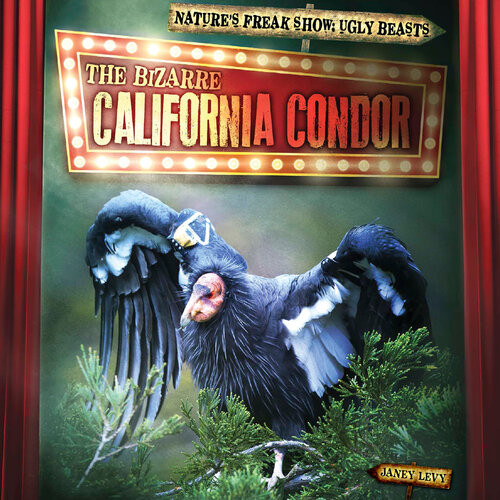 The Bizarre California Condor Janey Levy