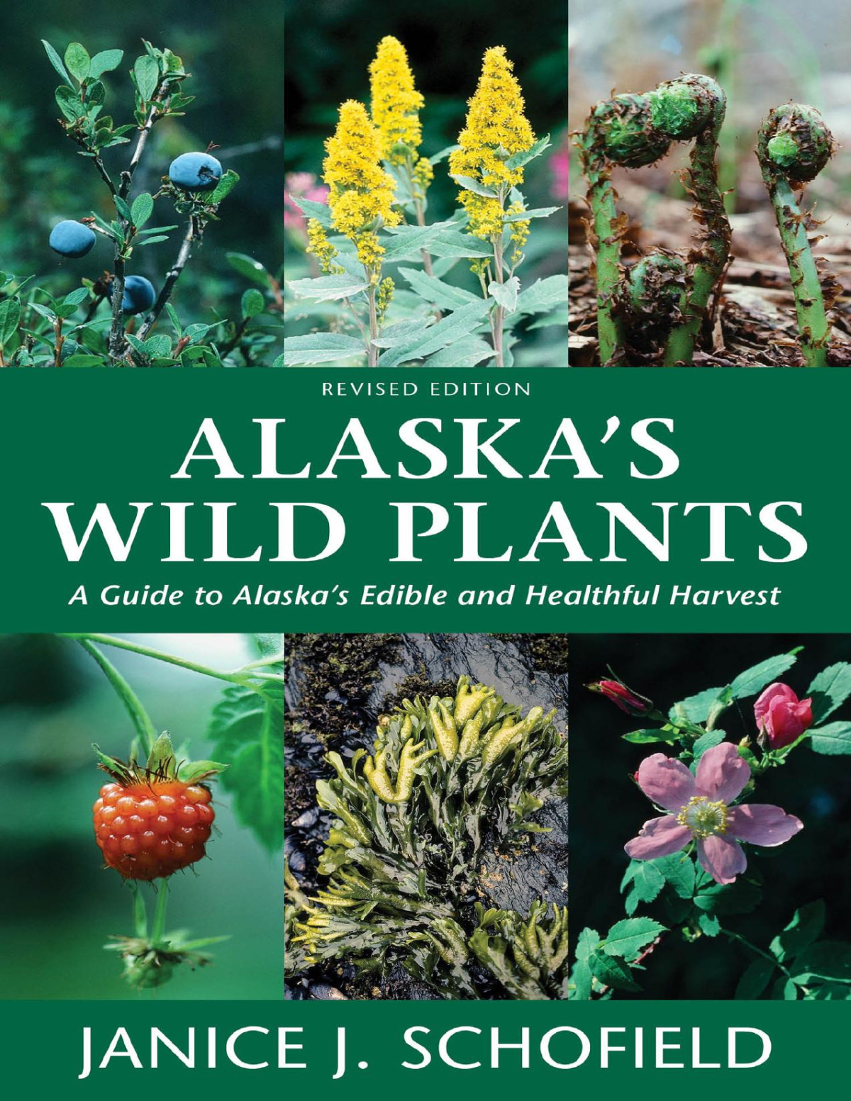 Alaskas Wild Plants Revised Edition A Guide To Alaskas Edible And Healthful Harvest 2nd Edition Janice J Schofield