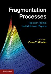 Fragmentation Processes Topics In Atomic And Molecular Physics Colm T Whelan