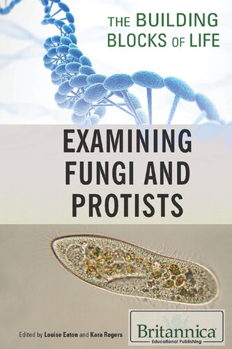 Examining Fungi And Protists 1st Edition Britannica Educational Publishing