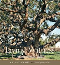 Living Witness Historic Trees Of Texas 1st Edition Ralph Yznaga Damon Waitt