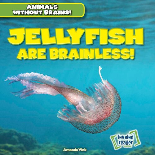 Jellyfish Are Brainless Amanda Vink
