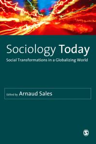 Sociology Today Social Transformations In A Globalizing World 1st Edition Arnaud Sales