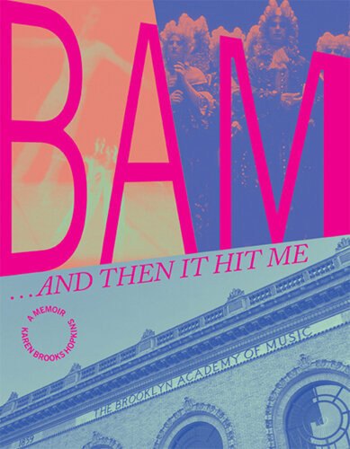 Bam And Then It Hit Me Karen Brooks Hopkins