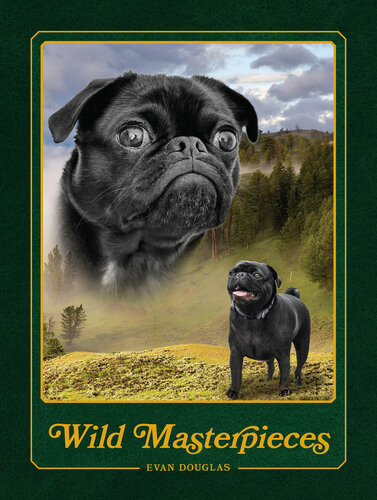 Wild Masterpieces A Collection Of Inspiring Animal And Pet Portraits Evan Douglas