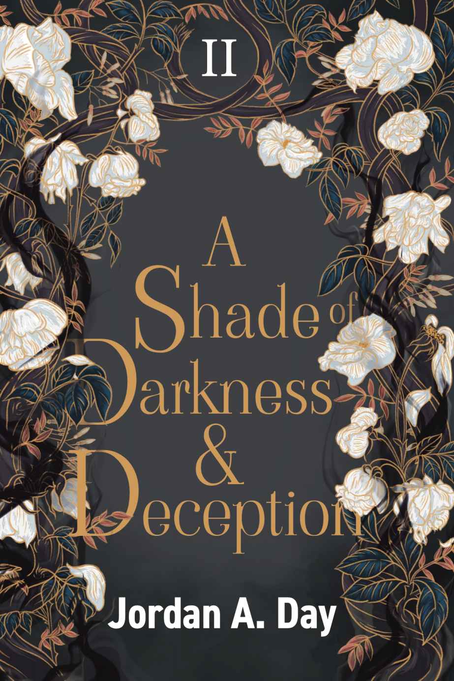 A Shade Of Darkness And Deception Jordan A Day
