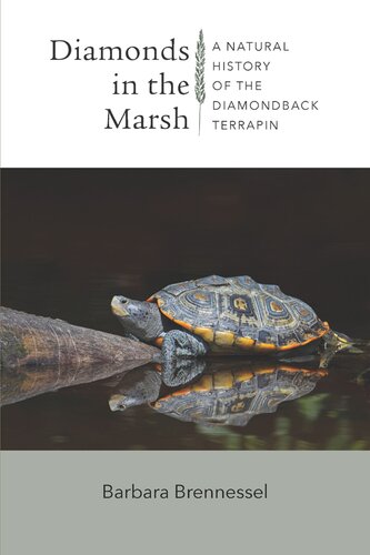 Diamonds In The Marsh A Natural History Of The Diamondback Terrapin Barbara Brennessel