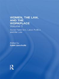 Social Feminism Labor Politics And The Law Women The Law And The Workplace 1st Edition Sybil Lipschultz