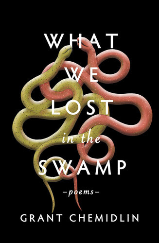 What We Lost In The Swamp Grant Chemidlin