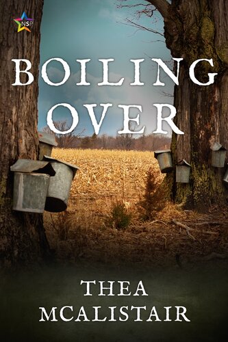 Boiling Over The Caro Mysteries 2 Thea Mcalistair