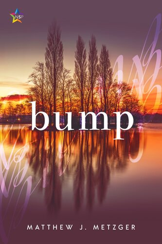 Bump Matthew J Metzger