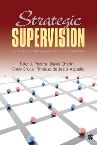 Strategic Supervision A Brief Guide For Managing Social Service Organizations 1st Edition Peter J Pecora David A Cherin Emily J Bruce Trinidad De Jesus Arguello