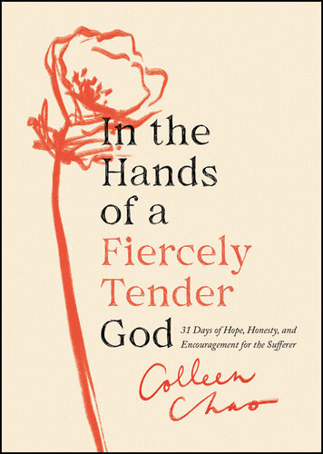 In The Hands Of A Fiercely Tender God 31 Days Of Hope Honesty And Encouragement For The Sufferer Colleen Chao