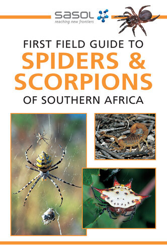 First Field Guide To Spiders Scorpions Of Southern Africa 2nd Edition Tracey Hawthorne