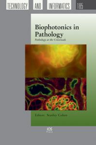 Biophotonics In Pathology Pathology At The Crossroads 1st Edition S Cohen