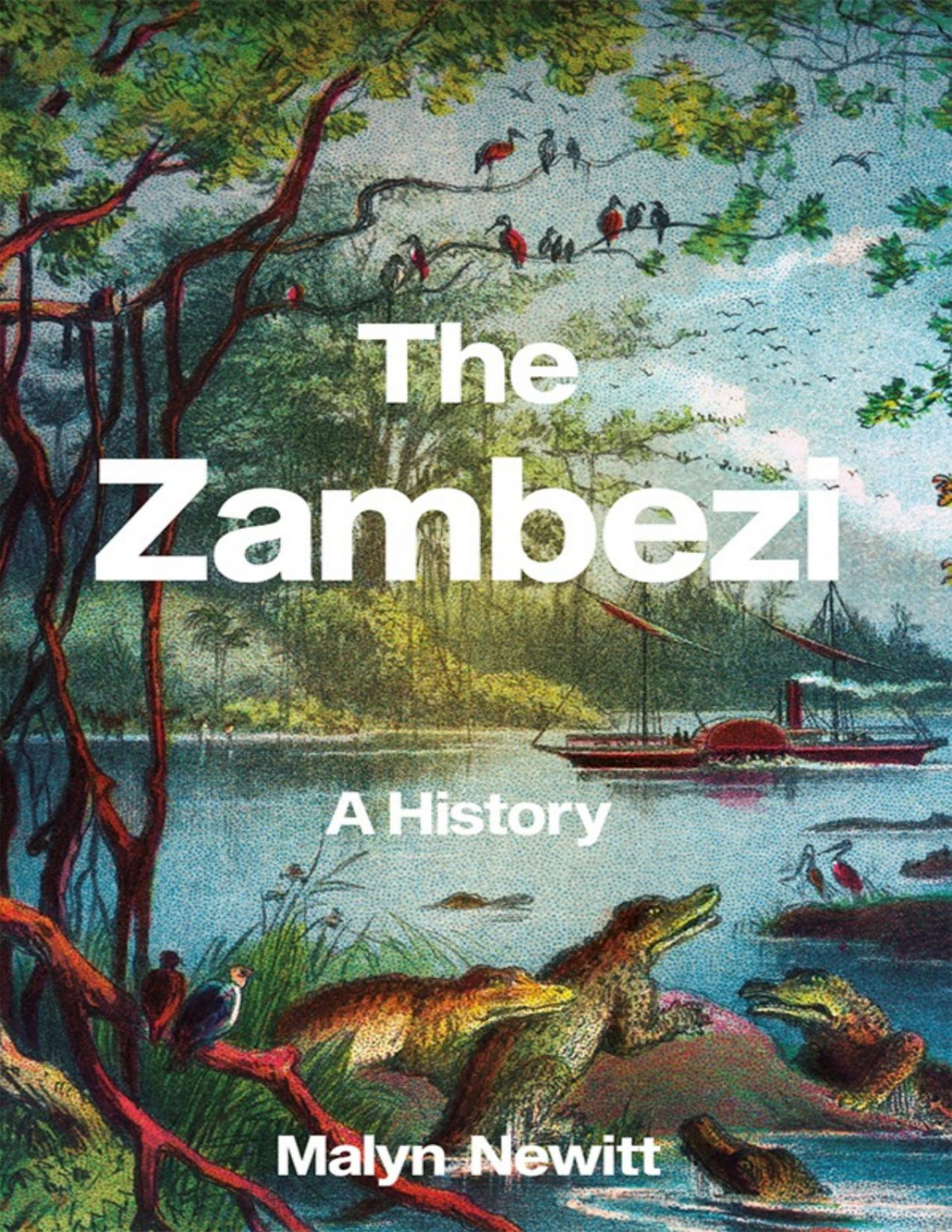 The Zambezi A History Malyn Newitt