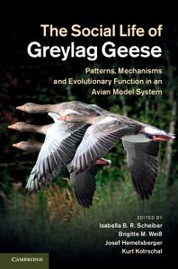 The Social Life Of Greylag Geese Patterns Mechanisms And Evolutionary Function In An Avian Model System Isabella B R Scheiber Brigitte M Wei Josef Hemetsberger Kurt Kotrschal