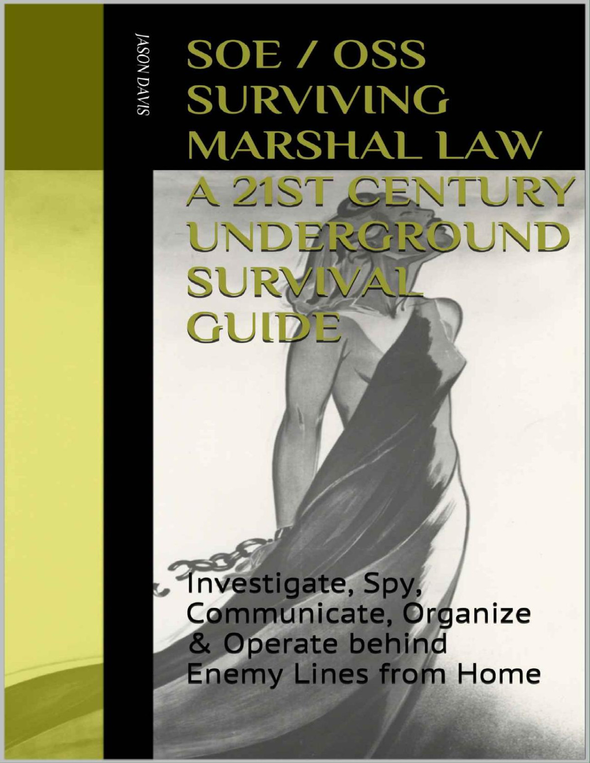 Soe Oss Training Manuals Survive Marshal Law 21st Century Underground Survival Guide Investigate Spy Communicate Organize Operate Behind Enemy Lines From Home Annotated Jason Davis