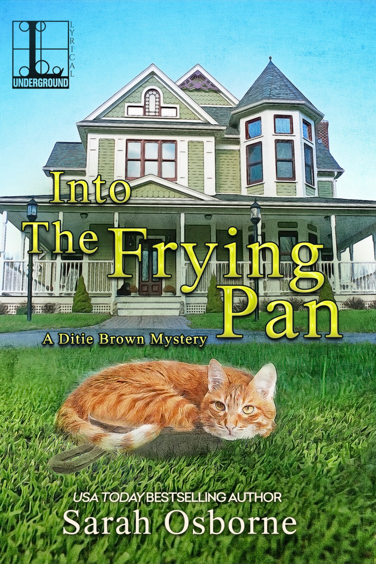 Into The Frying Pan Sarah Osborne