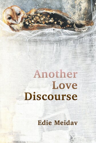 Another Love Discourse Edie Meidav