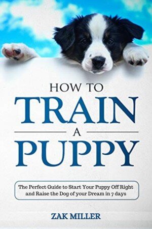 How To Train A Puppy The Perfect Guide To Start Your Puppy Off Right And Raise The Dog Of Your Dream In 7 Days Zak Miller