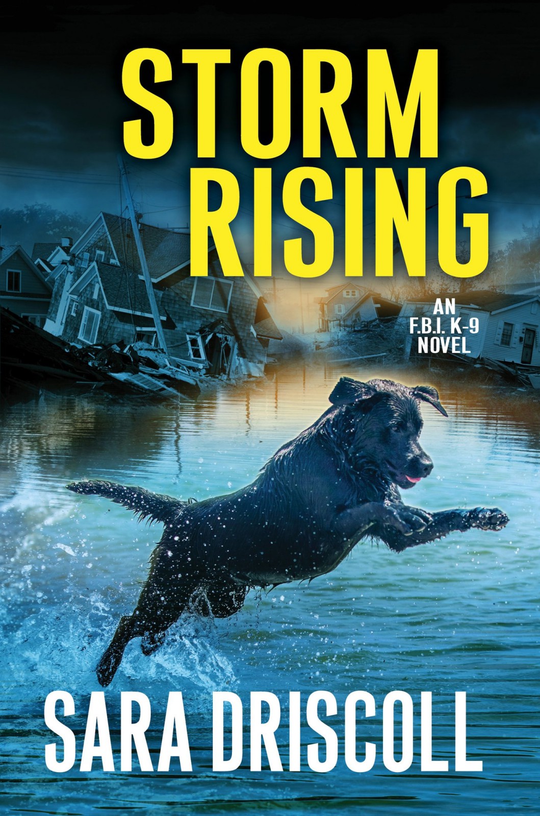 Storm Rising Sara Driscoll