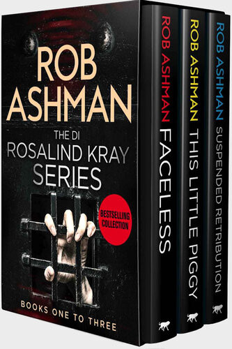 The Di Rosalind Kray Series Box Set 13 Rob Ashman