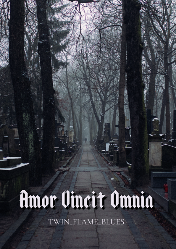 Amor Vincit Omnia Twin Flame Blues