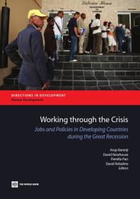 Working Through The Crisis Jobs And Policies In Developing Countries During The Great Recession 1st Edition Arup Banerji David Newhouse Pierella Paci David Locke Newhouse David A Robalino
