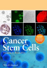 Cancer Stem Cells 1st Edition Vinagolu K Rajasekhar Vinagolu K Rajasekhar