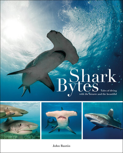 Shark Bytes Tales Of Diving With The Bizarre And The Beautiful John Bantin