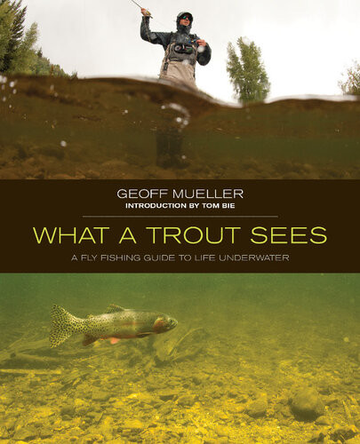 What A Trout Sees A Flyfishing Guide To Life Underwater Geoff Mueller