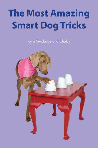 The Most Amazing Silly Dog Tricks Kyra Sundance Chalcy