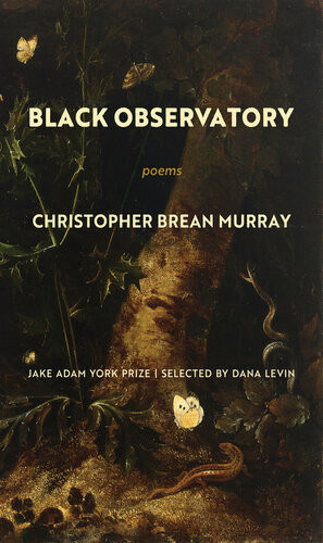 Black Observatory Christopher Brean Murray