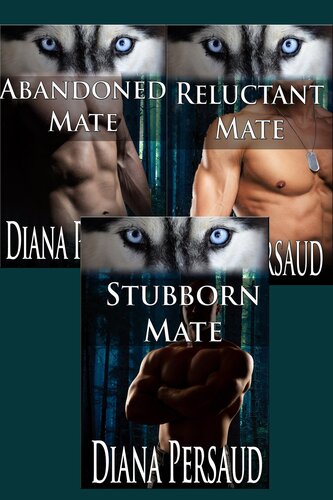 Soul Mates Box Set 2 Diana Persaud