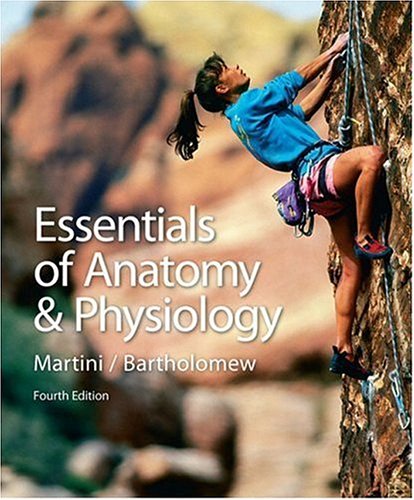 Essentials Of Anatomy Physiology 4th Edition Frederic H Martini